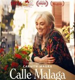 Calle Malaga